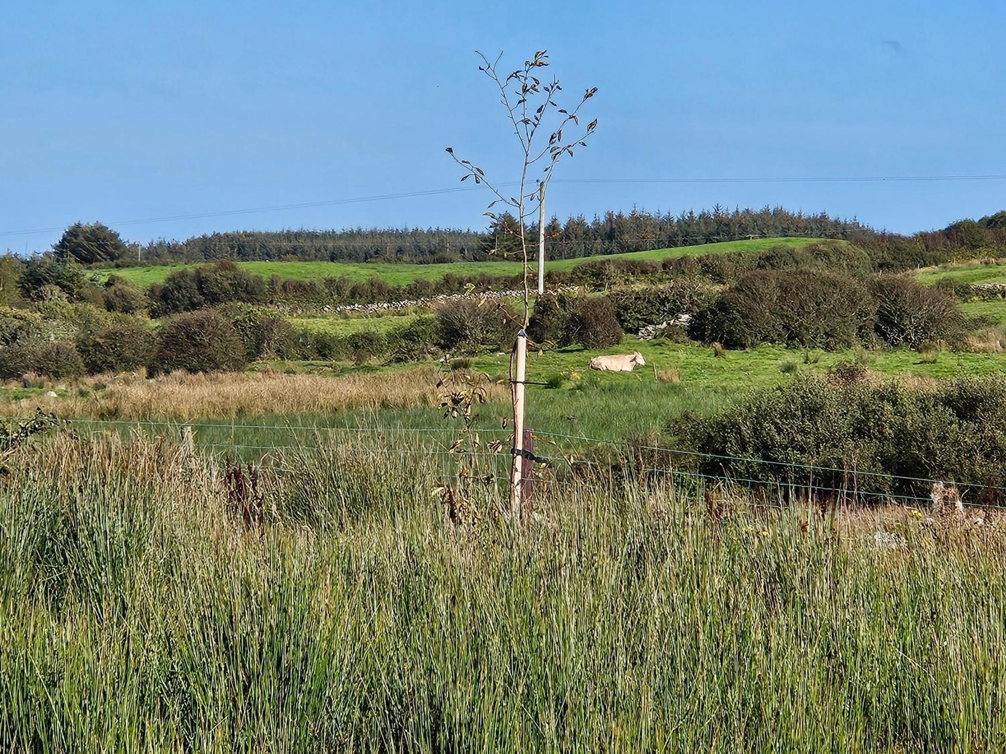 Suaimhneas Pension Lahinch Buitenkant foto